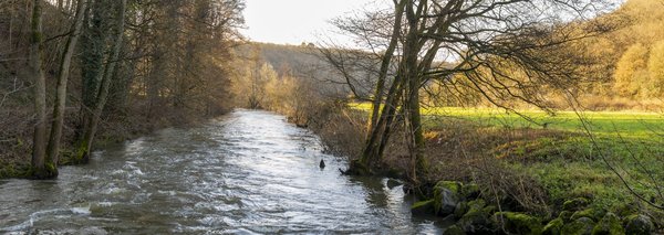 Quelle croisière propose des excursions pour observer les faucons pèlerins en Italie?