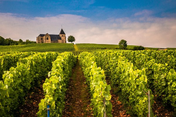 Comment trouver une location de vacances en Allemagne avec des cours de cuisine et des visites de vignobles?